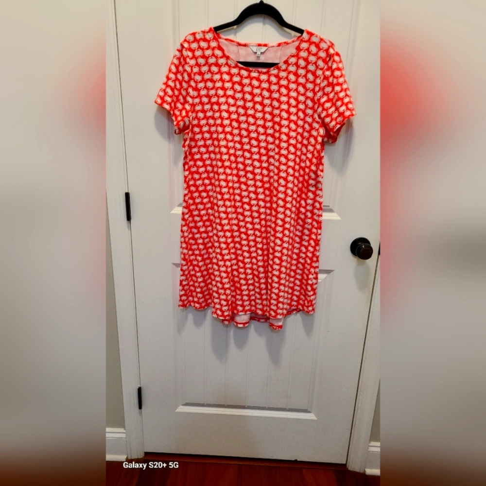 Women's Dress